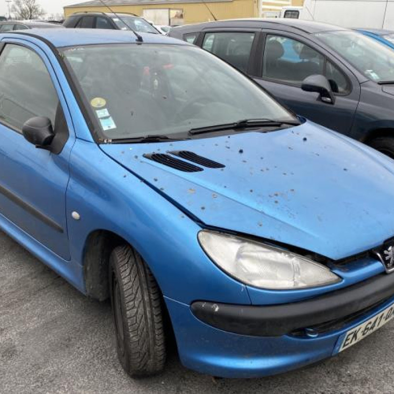 Malle/Hayon arriere PEUGEOT 206 Photo n°13