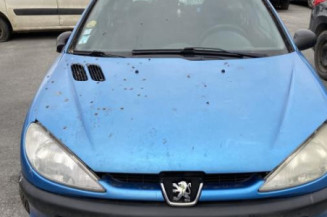 Malle/Hayon arriere PEUGEOT 206