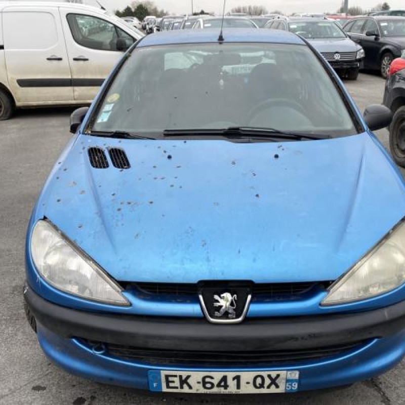 Malle/Hayon arriere PEUGEOT 206 Photo n°19