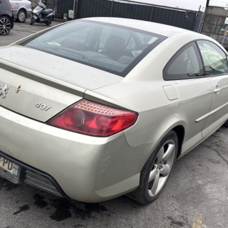 Porte avant droit PEUGEOT 407 Photo n°10