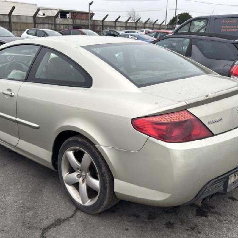 Porte avant droit PEUGEOT 407 Photo n°11