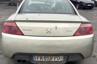 Porte avant droit PEUGEOT 407