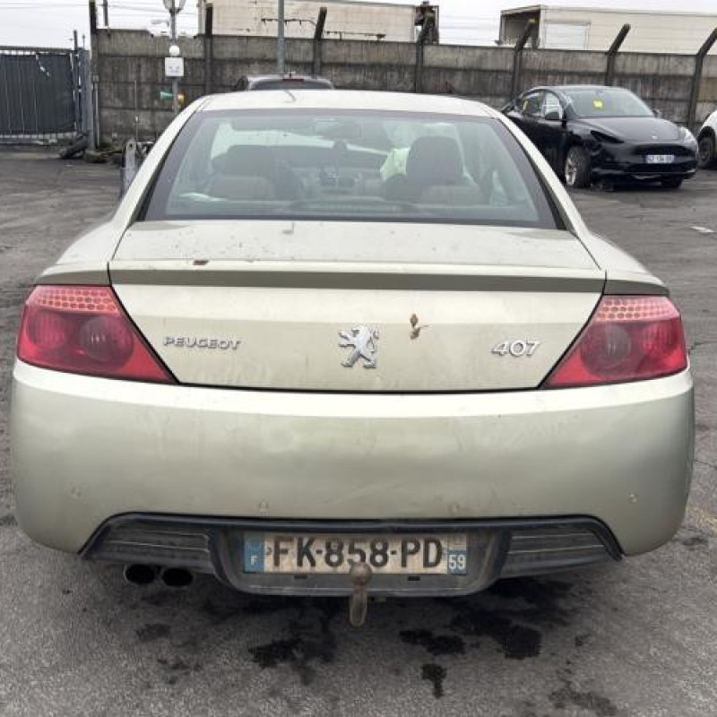 Porte avant droit PEUGEOT 407 Photo n°13