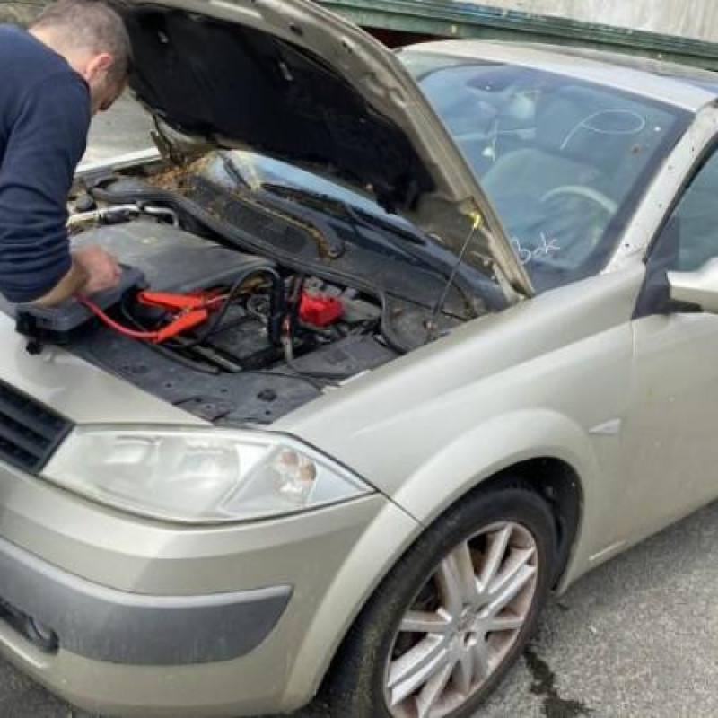 Poignee porte avant droit RENAULT MEGANE 2 Photo n°6