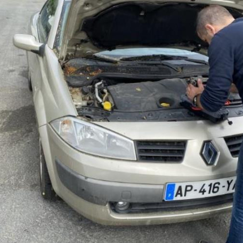 Poignee porte avant droit RENAULT MEGANE 2 Photo n°13