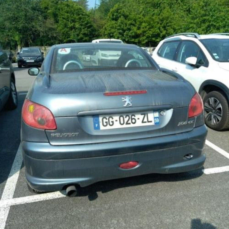 Feu arriere principal gauche (feux) PEUGEOT 206 Photo n°12
