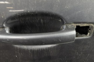 Porte avant gauche CITROEN C3 2