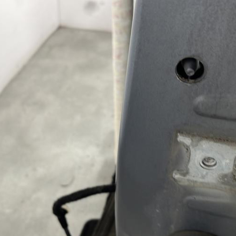 Porte avant gauche CITROEN C3 2 Photo n°4