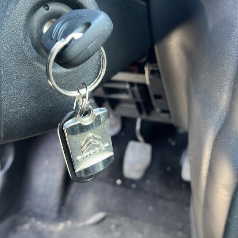Porte avant gauche CITROEN C3 2 Photo n°16