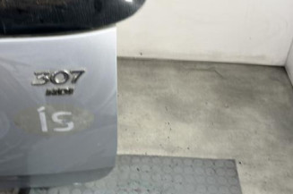 Malle/Hayon arriere PEUGEOT 307
