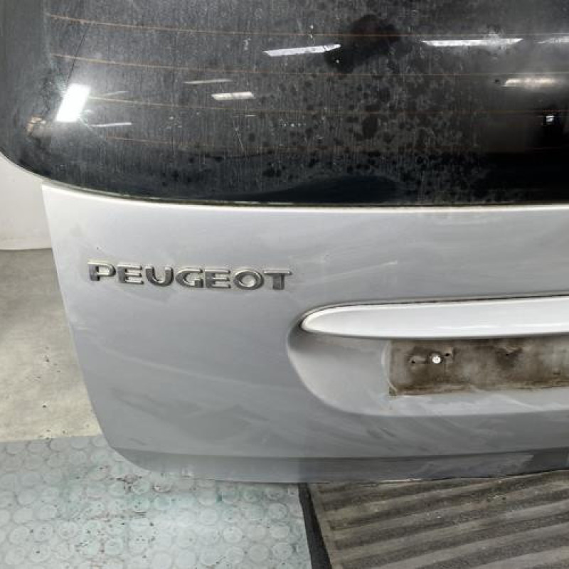Malle/Hayon arriere PEUGEOT 307 Photo n°6