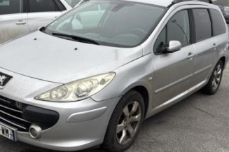 Pare soleil gauche PEUGEOT 307