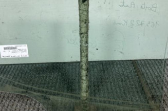 Vitre arriere gauche PEUGEOT 207