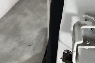 Porte arriere gauche PEUGEOT 2008 1