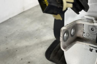 Porte arriere gauche PEUGEOT 2008 1