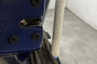 Porte arriere gauche RENAULT CLIO 2