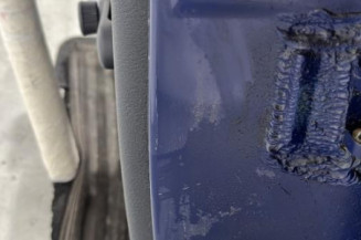 Porte arriere gauche RENAULT CLIO 2