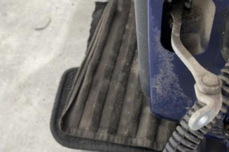 Porte arriere gauche RENAULT CLIO 2