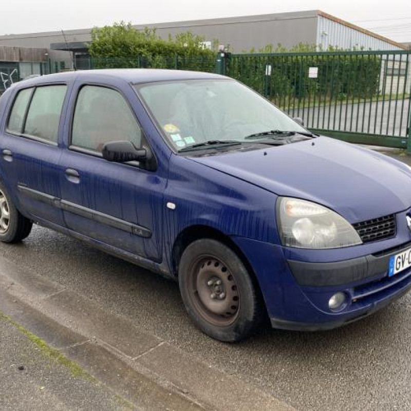 Porte arriere gauche RENAULT CLIO 2 Photo n°8