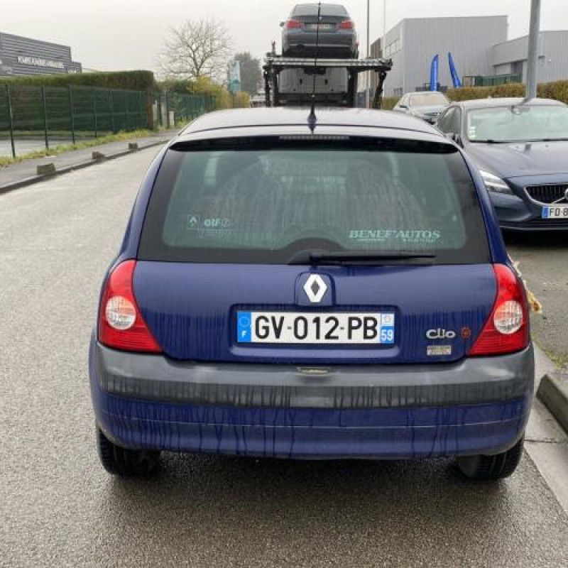 Porte arriere gauche RENAULT CLIO 2 Photo n°11