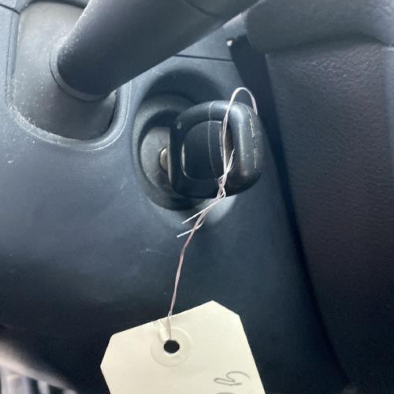 Porte arriere gauche RENAULT CLIO 2 Photo n°16