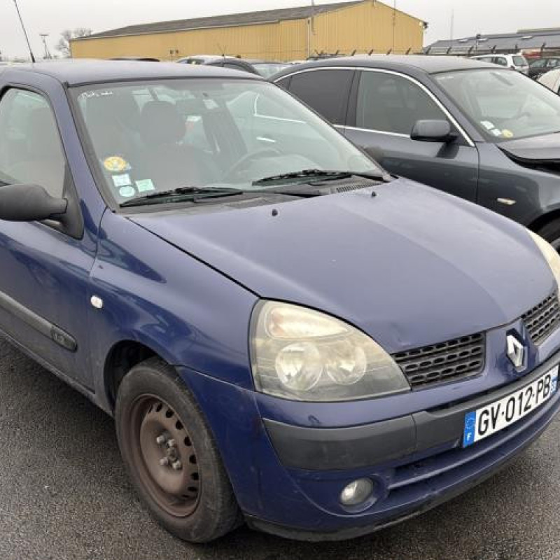 Porte arriere gauche RENAULT CLIO 2 Photo n°19