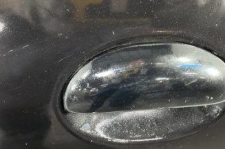 Porte arriere gauche PEUGEOT 206+