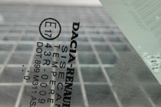 Custode arriere droit (porte) DACIA SANDERO 2