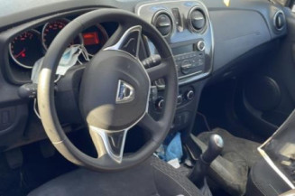 Custode arriere droit (porte) DACIA SANDERO 2