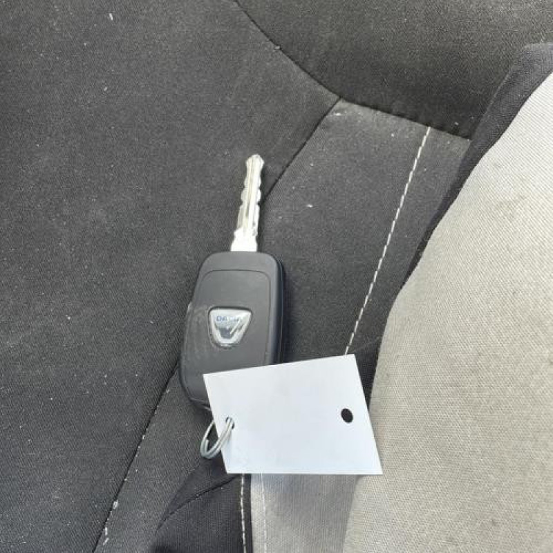 Custode arriere droit (porte) DACIA SANDERO 2 Photo n°6