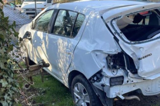 Custode arriere droit (porte) DACIA SANDERO 2