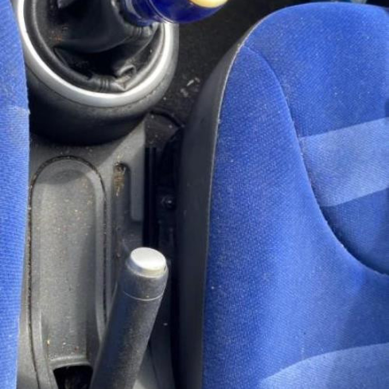 Feu arriere principal gauche (feux) CITROEN C2 Photo n°20