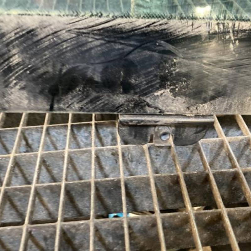 Vitre arriere gauche CITROEN DS4 Photo n°2