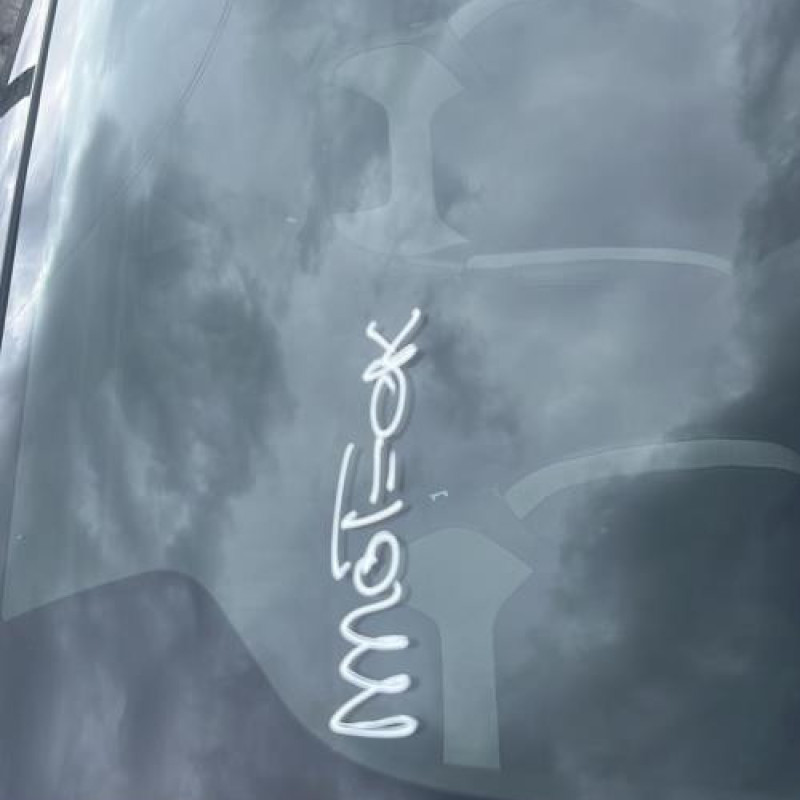 Vitre arriere gauche CITROEN DS4 Photo n°20