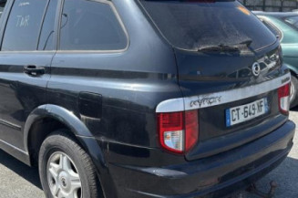 Vase de lave glace SSANGYONG KYRON