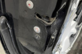 Porte avant gauche CITROEN DS3