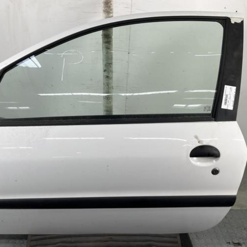 Porte avant gauche PEUGEOT 206+ Photo n°1