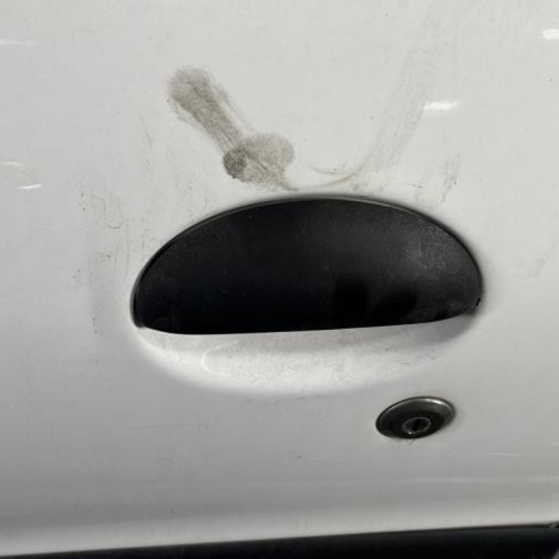 Porte avant gauche PEUGEOT 206+ Photo n°2