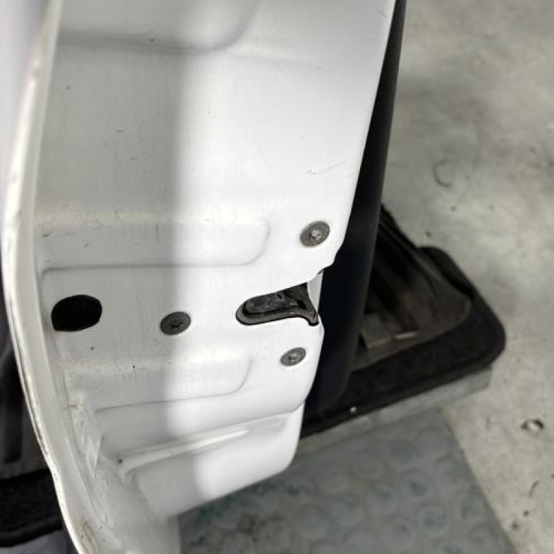 Porte avant gauche PEUGEOT 206+ Photo n°3