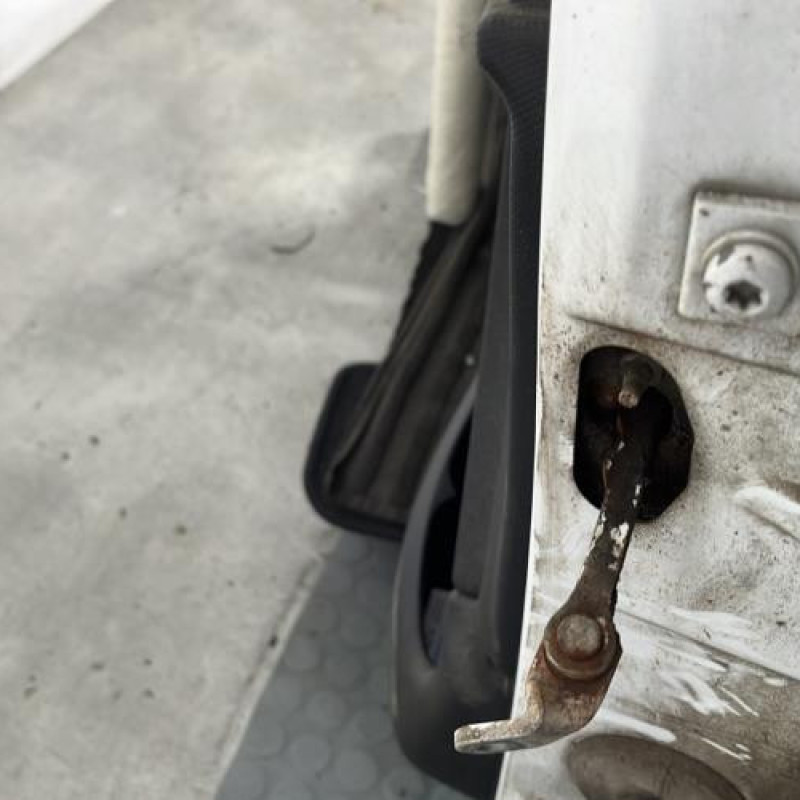 Porte avant gauche PEUGEOT 206+ Photo n°4
