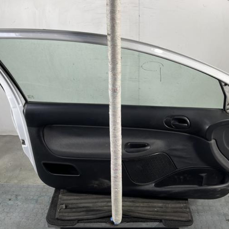 Porte avant gauche PEUGEOT 206+ Photo n°6