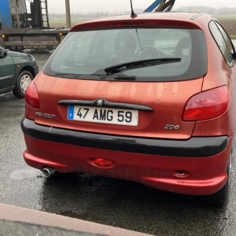 Porte avant gauche PEUGEOT 206 Photo n°11