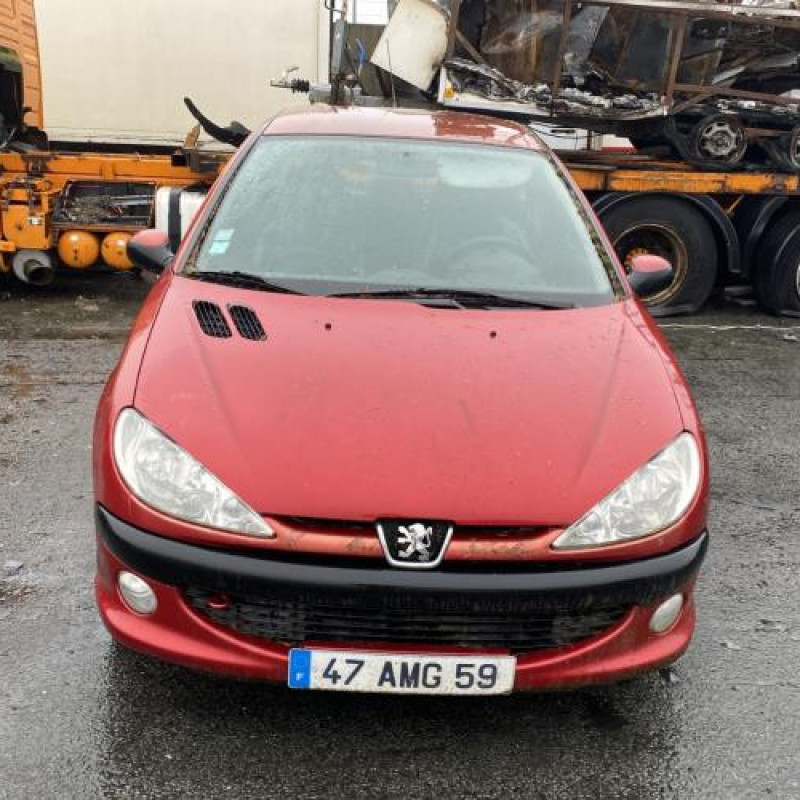 Porte avant gauche PEUGEOT 206 Photo n°12