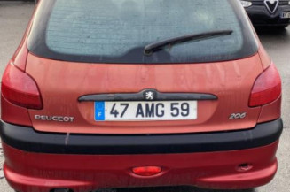 Porte avant gauche PEUGEOT 206
