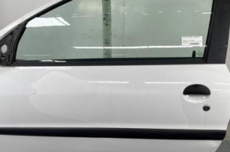 Porte avant gauche PEUGEOT 206 Photo n°1