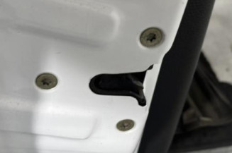 Porte avant gauche PEUGEOT 206