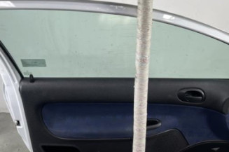 Porte avant gauche PEUGEOT 206