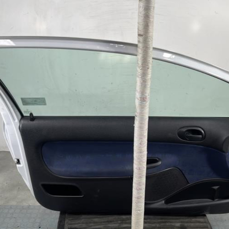 Porte avant gauche PEUGEOT 206 Photo n°7