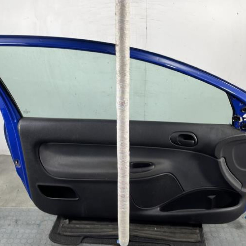 Porte avant gauche PEUGEOT 206 Photo n°6