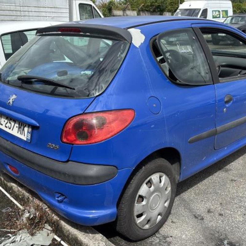 Porte avant gauche PEUGEOT 206 Photo n°7